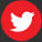 Dutch voice over twitter